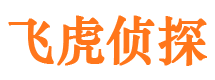 大安侦探公司